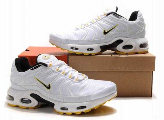 requins tn tn requin art.JPG